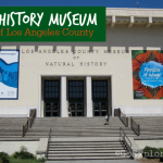 Planning a trip to the Natural History Museum of Los Angeles County with kids can feel a little overwhelming. This guide created just for families can help.