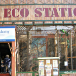 STAR Eco Station is an 18,000-square-foot wildlife rescue center right in the heart of Culver City.