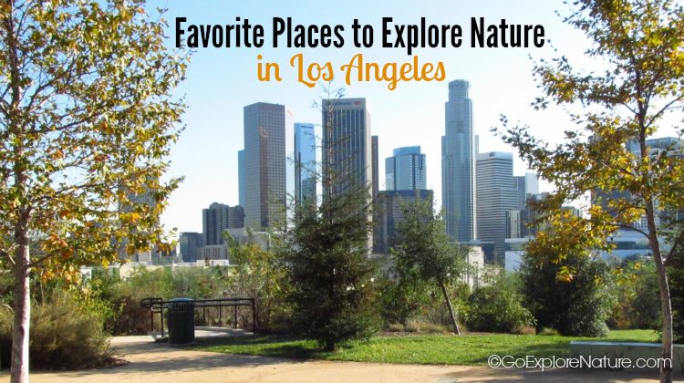 This list of our favorite places to explore nature in Los Angeles provides a sneak peek at all there is to see and do outdoors in LA.