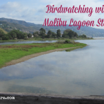 Malibu Lagoon State Beach is a great place for Los Angeles families. Did you know you take guided tours bird watching tours with kids?