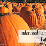 Our tips for navigating your way around Underwood Family Farms’ Fall Harvest Festival will ensure a great day trip for kids and parents alike.