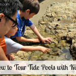 If you want to know how to tour tide pools with kids in Los Angeles, here’s a little advice to ensure your next visit is educational, respectful and fun!