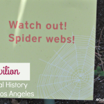 The open-air NHMLA Spider Pavilion is a spot where LA families can marvel at hundreds of spiders spinning their intricate webs.