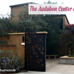 The Audubon Center at Debs Park in Los Angeles is a great spot for birding, hiking and nature play for kids of all ages.