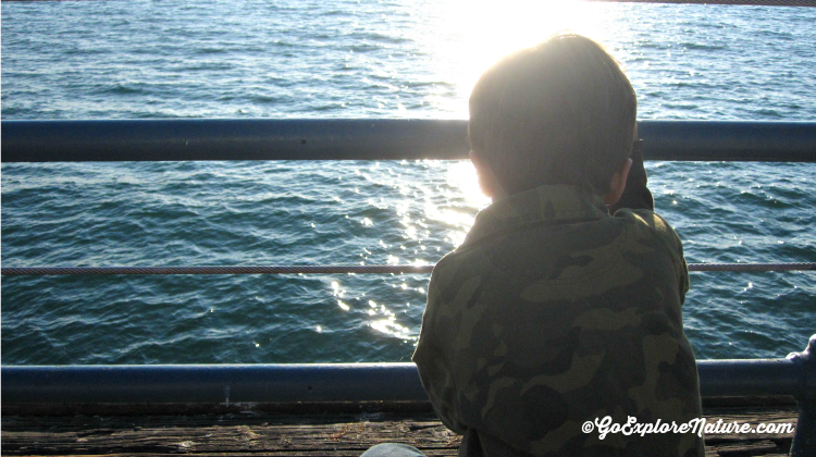 Visit the pint-sized Santa Monica Pier Aquarium for some undersea fun. Then head outside to the Pier or the beach, both just steps away.