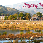 The 15-acre Legacy Park is a sort of central park in the heart of Malibu – perfect for some quiet time in nature right in the heart of the city.