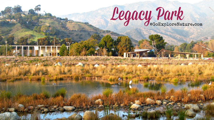 The 15-acre Legacy Park is a sort of central park in the heart of Malibu – perfect for some quiet time in nature right in the heart of the city.