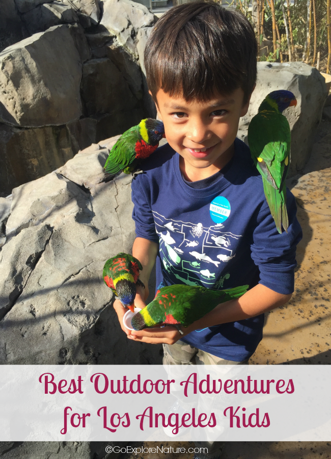 This big list of outdoor adventures for Los Angeles kids means there are no more excuses for not being able to find somewhere to explore nature in the city!