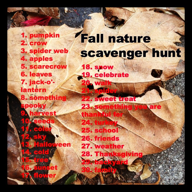 fall nature scavenger hunt