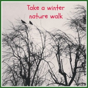 Winter nature walk