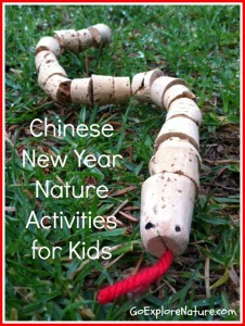 Chinese New Year nature activities for kids