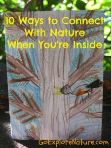 10 ways to connect with nature when you're inside