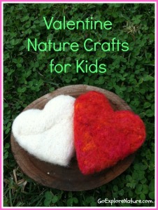 9 Valentine nature crafts for kids