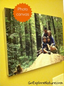 Photo canvas for family nature pictures