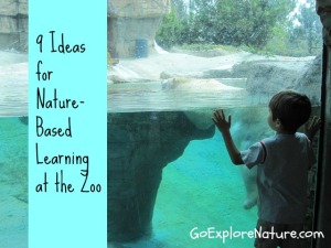 9 Ideas for Nature-Based Learning at the Zoo
