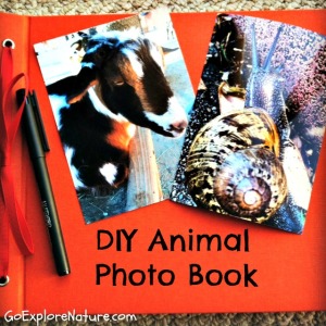 DIY Animal Photo Book