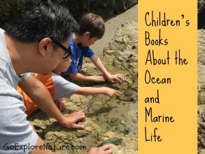 Children's Books About the Ocean and Marine Life 