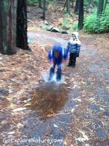 Play among the trees: Splash in puddles