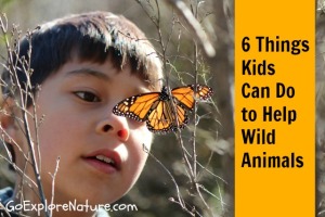 6 things kids can do to help wild animals