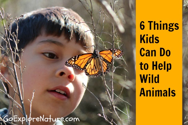 6 Things Kids Can Do to Help Wild Animals 