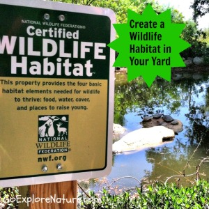  Create a wildlife habitat in your yard