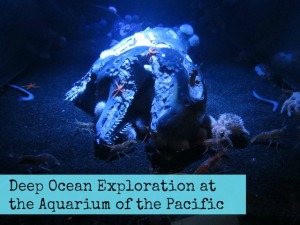 Deep Ocean Exploration at the Aquarium of the Pacific