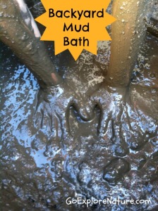 Backyard mud bath