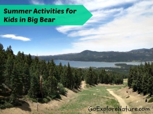 Summer Activities for Kids in Big Bear