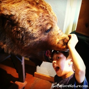 Big Bear Discovery Center