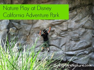 Nature Play at Disney California Adventure Park