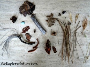 Time to Create: Natural Materials