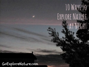 10 Ways to Explore Nature at Night