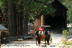 Pioneer Yosemite History Center