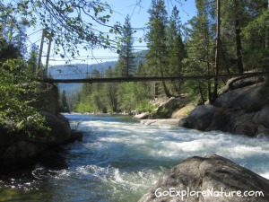 Swinging Bridge Trail