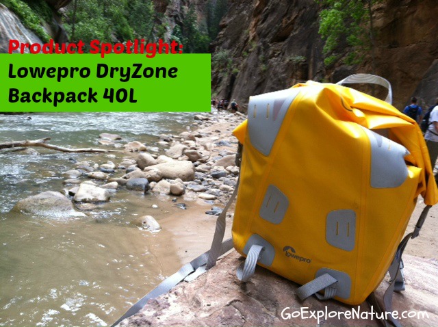 Lowepro dryzone hotsell