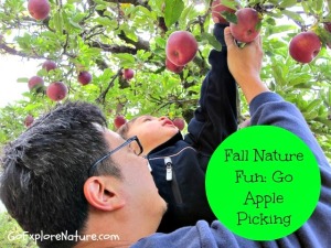 Fall Nature Fun: Go Apple Picking