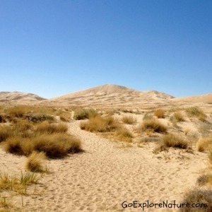 Saturday Snapshot: Sand Dunes