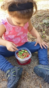 Trail Meals for Kids