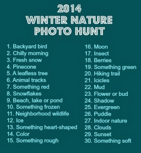 2014 Winter Nature Photo Hunt