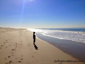 Winter Nature Adventures at the Beach