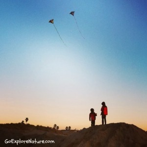 Winter Nature Adventures at the Beach