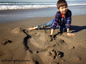 Winter Nature Adventures at the Beach