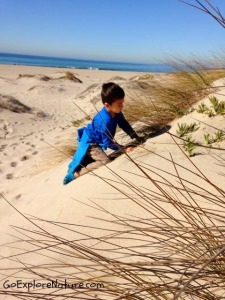 Winter Nature Adventures at the Beach