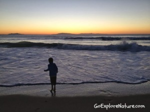 Winter Nature Adventures at the Beach