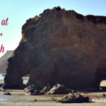 Exploring tide pools at El Matador State Beach is a fun, free outdoor activity for Los Angeles families. Here's how to make your adventure a success.