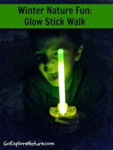 Winter Nature Fun: Glow Stick Walk