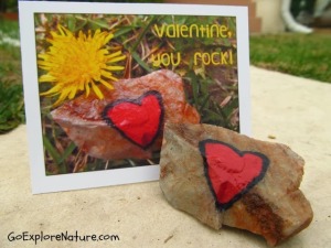 Our Nature-Inspired Valentine