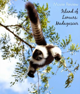 Movie Review - Island of Lemurs: Madagascar Movie Review - Island of Lemurs: Madagascar