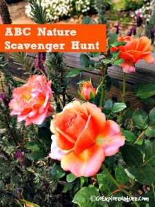 ABC Nature Scavenger Hunt