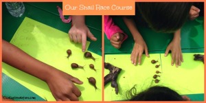 How to Host a Snail Race